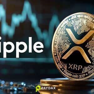 Exploring XRP and the Rising Influence of Paydax in DeFi