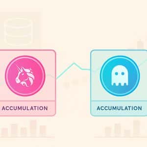 DeFi Tokens Show Early Signs of Accumulation: UNI and AAVE Eye Recovery Zones