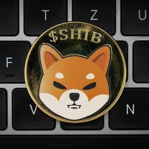 What The LEASH V2 Launch Means For Shiba Inu Holders