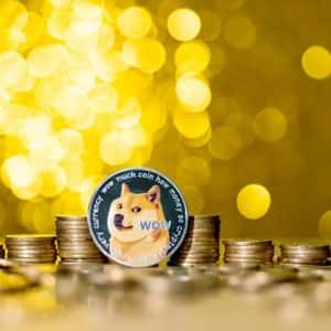 Elon Musk’s Lawyer Listed As Chairman Of $200-M Dogecoin Treasury — Details