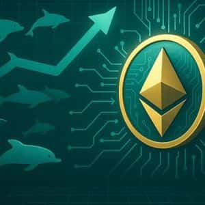 Whales Withdraw Over $188M Ethereum From Exchanges In Fresh Accumulation Wave – Details
