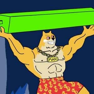 Maxi Doge piesaista 2 miljonus dolāru iepriekšpārdošanā – nākamais 100x Dogecoin spēlētājs