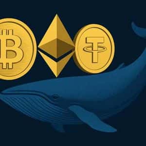 Mùa Altcoin đã trở lại: 3 động lực chính thúc đẩy đợt tăng giá