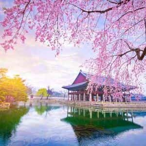 South Korea To Confiscate Crypto Cold Wallets If Taxes Aren’t Paid