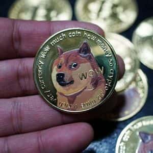 Dogecoin Sell-Off Alert: Whale Deposits 132 Million DOGE Into Robinhood As Price Crashes