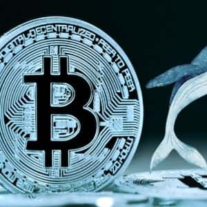 Prezzo di Bitcoin in Calo: “OG Whales” di BTC Vendono