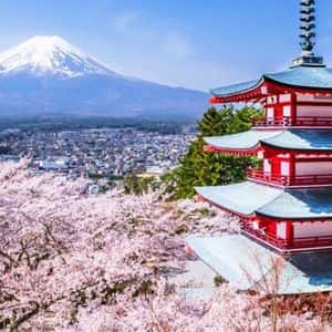 Metaplanet Buys 136 BTC, Reports 487% YTD BTC Yield