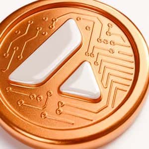 Report: Avalanche Foundation Seeks $1B for US Crypto-Treasury Vehicles