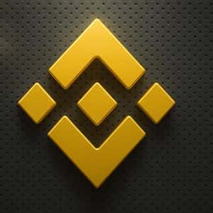 ‘Banks Need to Adopt BNB,’ CZ Declares as Token Nears $1K