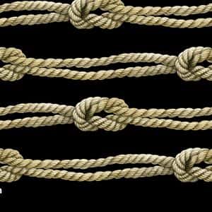 From Peak to Plunge: Bitcoin Knots Loses Nearly a Third of Its Nodes Since Sept. 14