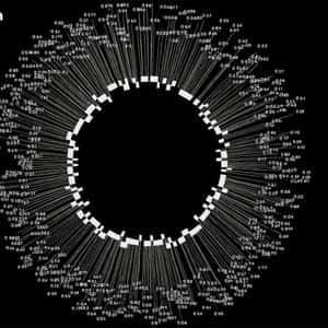 Crunch Lab Builds out AI Intelligence Layer With Fresh $5M Capital
