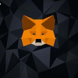 Metamask Confirms Token Launch, Partners With Polymarket for In-Wallet Prediction Markets