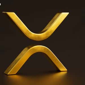 XRP Warning Signs Multiply: Indicators Hint at Roadblocks Ahead