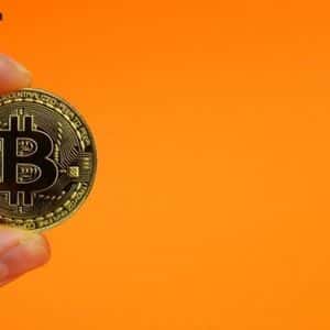 OranjeBTC’s Stock Slumps Even as It Doubles Down on Its Bitcoin Proposition in Brazil