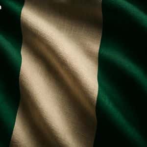 Nigeria Forms Working Group to Explore Stablecoin Adoption