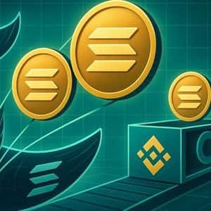 Whales Are Buying Solana: Two Wallets Pull 376K Tokens From Binance