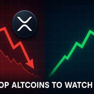 Top Altcoins to Watch as XRP Liquidations Shake the Market