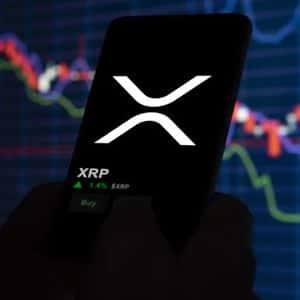Zach Rector Pits XRP Against The Rest Of The Market – Here Are The Results