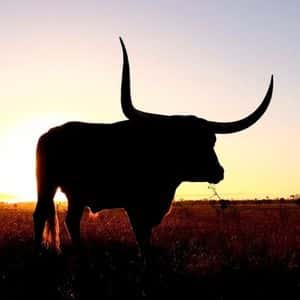 XRP Sparks Bullish Frenzy As Top Software Dev Says It Beats ETF Hype