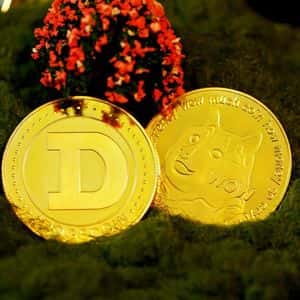 Dogecoin Whales Quietly Accumulate Over 320 Million Coins — What’s Coming Next?