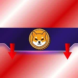 This Shiba Inu (SHIB) Metric Drops to a Multi-Month Low: More Pain Ahead?