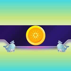 140,000,000 ADA Dumped in 2 Weeks: Is Cardano Poised for a Price Pullback?