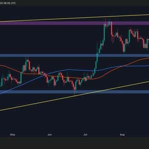 XRP Flashing Early Breakout Signals: Is the Wait Over? (Ripple Price Analysis)