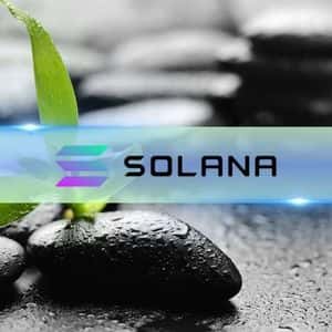 Solana (SOL) Has the Perfect Recipe for a Massive Rally, Bitwise’s Matt Hougan