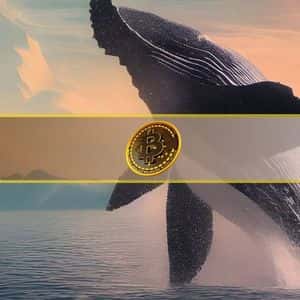 Retail Traders Keep Bitcoin Floating Above $117K, But One Whale Move Could Change Everything