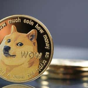 Dogecoin (DOGE) Rally Lacks Retail Mania – And That Might Be Bullish
