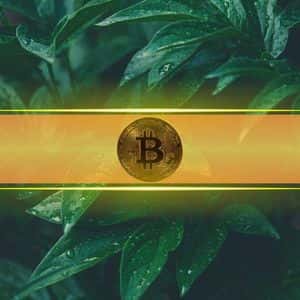 Analyst: Bitcoin’s Healthy Volatility Band Points to Realistic $130K Target