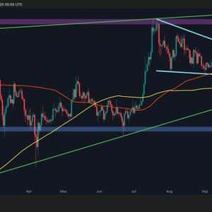 Ripple Price Analysis: is XRP Due for a Correction Below $3?