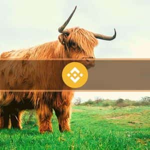 Binance Coin (BNB) Flips Ripple (XRP) Following Record-Breaking Price Surge