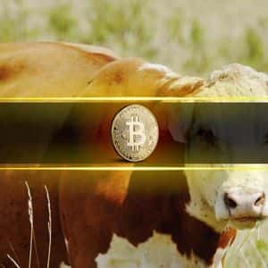 Bitcoin’s MVRV Ratio Hints at Another Major Rally, Analysts Say Market Still Far from Euphoria