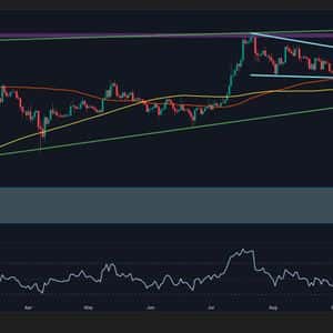 Ripple Price Analysis: Key XRP Support Levels to Watch If Another Crash Occurs