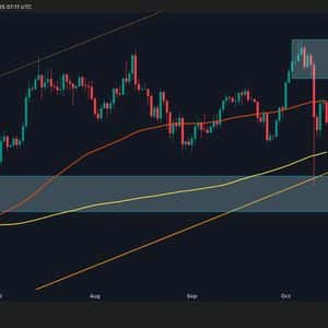 Bitcoin Price Analysis: Is BTC Out of the Woods Completely After Recent Meltdown?