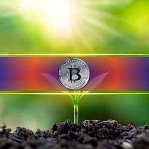 Was Last Week’s Deleveraging Event a Necessary Reset for The Bitcoin Market? Glassnode Weighs In