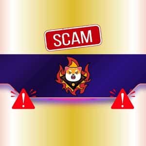 Critical Warning Concerning Shiba Inu (SHIB) Users: Details