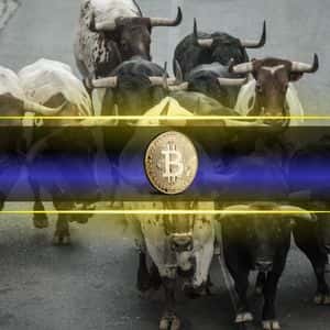 Analysts Confident Bull Market Will Continue Despite Extreme Fear