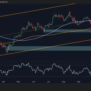 Bitcoin Price Analysis: Uncertainty Remains as BTC Hangs at Important Support Levels