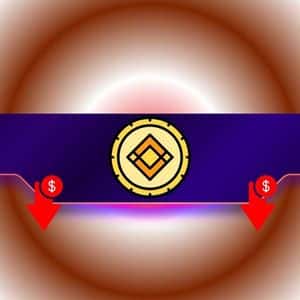 These Altcoins Crash by Double Digits Following Delisting From Binance: Details