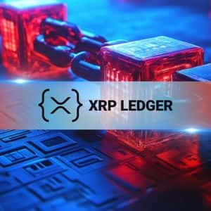 XRP Ledger Sees 8.9% Rise in Daily Transactions, NFT Activity Surges in Q3