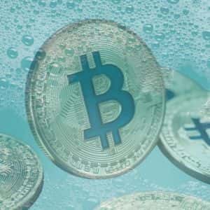 Binance, Tether, others seize almost $50 million connected to pig butchering scam