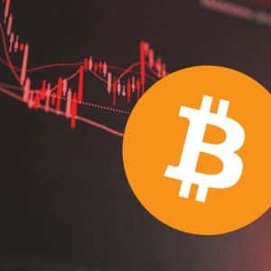 Bitcoin futures are cooling as whale participation declines