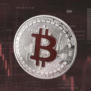 99.3% of Bitcoin supply in profit could trigger short-term dip