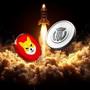 Why Shiba Inu (SHIB) Millionaires Are Now Betting on Mutuum Finance (MUTM)