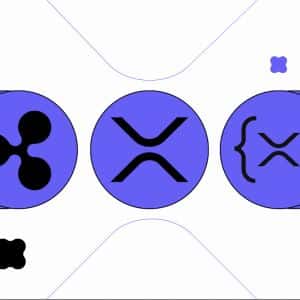 Ripple vs. XRP vs. XRP Ledger: What’s the Difference?