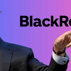 BlackRock CEO Larry Fink now refers to Bitcoin as “digital gold”