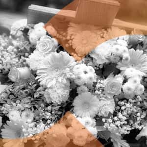 Crypto Community Mourns Passing of RTFKT Co-Founder Benoit Pagotto