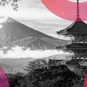 Japanese Regulator Eyes Ban on Crypto Insider Trading: Nikkei